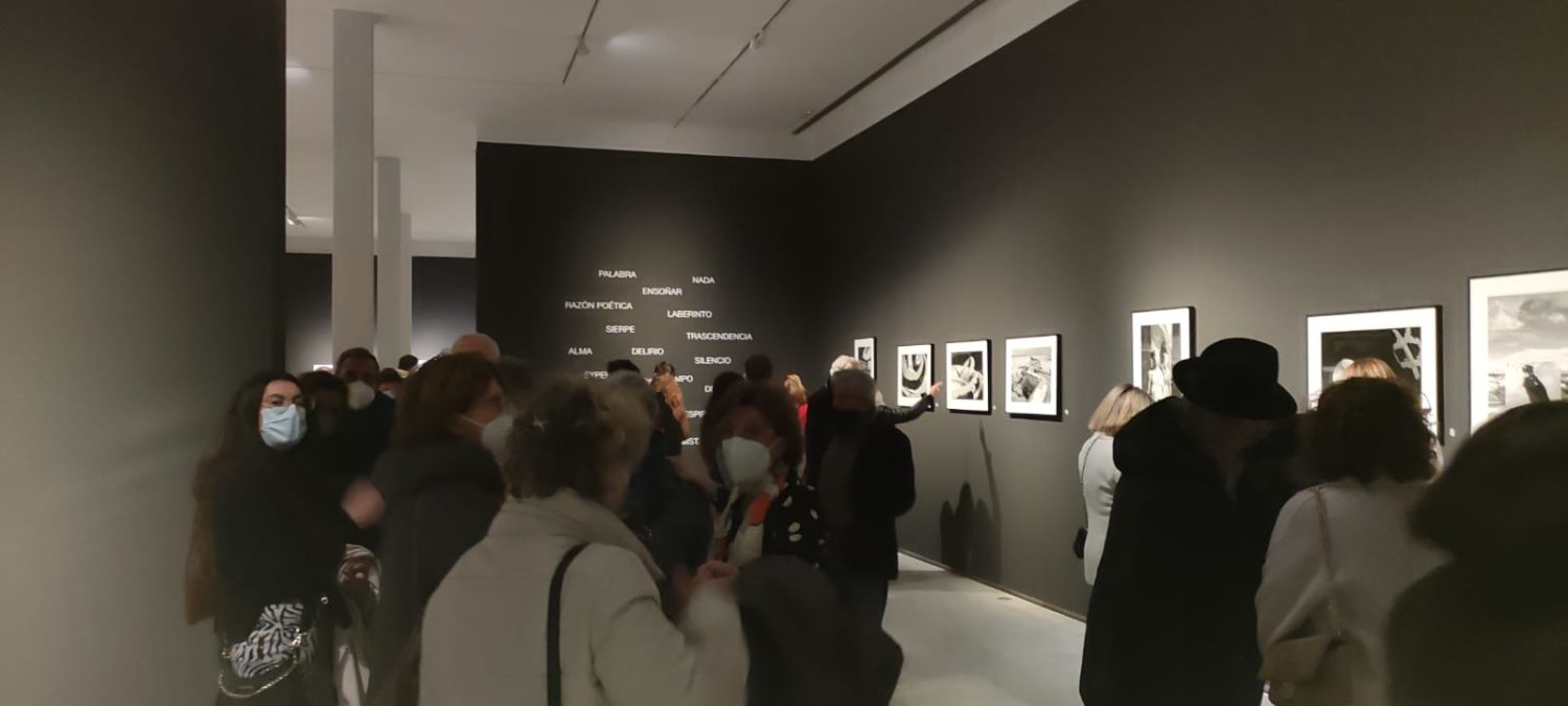 GloMa: Glosario sobre María Zambrano